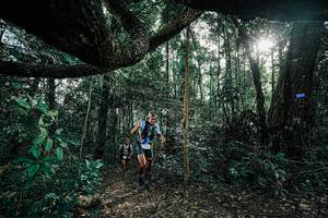 BIB: 
                            <button type="button" onclick="openModal(25390388)" class="btn btn-primary btn-sm float-right btn-popup" data-toggle="modal" data-target=".modal-high-quality">
                        <i class="fas fa-shopping-cart"></i> Add to Cart
                    </button>
                                            <button type="button" onclick="isThisMe(25390388, true)" class="btn btn-success btn-sm float-right btn-popup btn-isme hidden" data-toggle="tooltip" data-placement="bottom" title="นี่คือรูปของคุณใช่ไหม คลิกที่นี่เพื่อเอาเข้าอัลบั้ม">
                        <i class="fas fa-plus"></i> Add to album
                    </button>
                    <button type="button" onclick="isThisMe(25390388, false)" class="btn btn-warning btn-sm float-right btn-popup btn-isnotme hidden">
                        <i class="fas fa-ban"></i> Remove from album
                    </button>